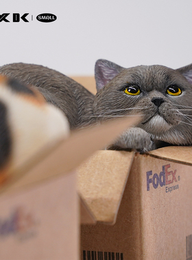 现货 JXK small 快递猫3.0 网红可爱橘猫懒猫宠物模型摆件手办