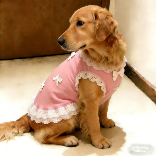 洋气金毛狗狗衣服中大型犬狗狗背心薄款夏季高颜值宠物衣服萨摩耶 - 图2