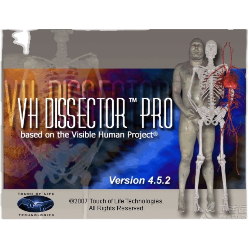 虚拟人体断层解剖软件VH Dissector Pro V4.5.2中英双语版 - 图3