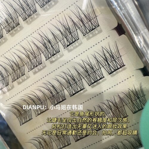 韩国fillimilli免胶假睫毛自然浓密卷翘轻盈柔软太阳花带镊子便携 - 图1