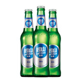 崂山啤酒 经典小瓶装316mL*24瓶*2箱(共48瓶) 券后99元包邮