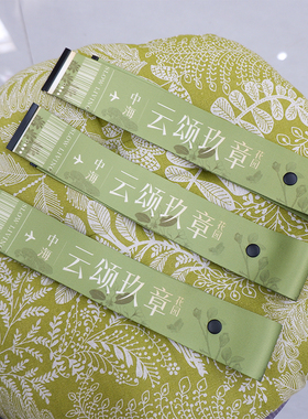 定制企业团建行李箱登机牌飘带