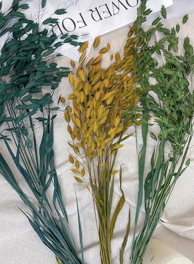 小盼草干花永生花客厅装饰