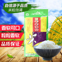 South-floor Guangdong Province upstairs 10kg Chrysanthemum Spiced Sesame Oil Sticky Rice Saucepan Rice Special Rice Sweet soft glutinous rice