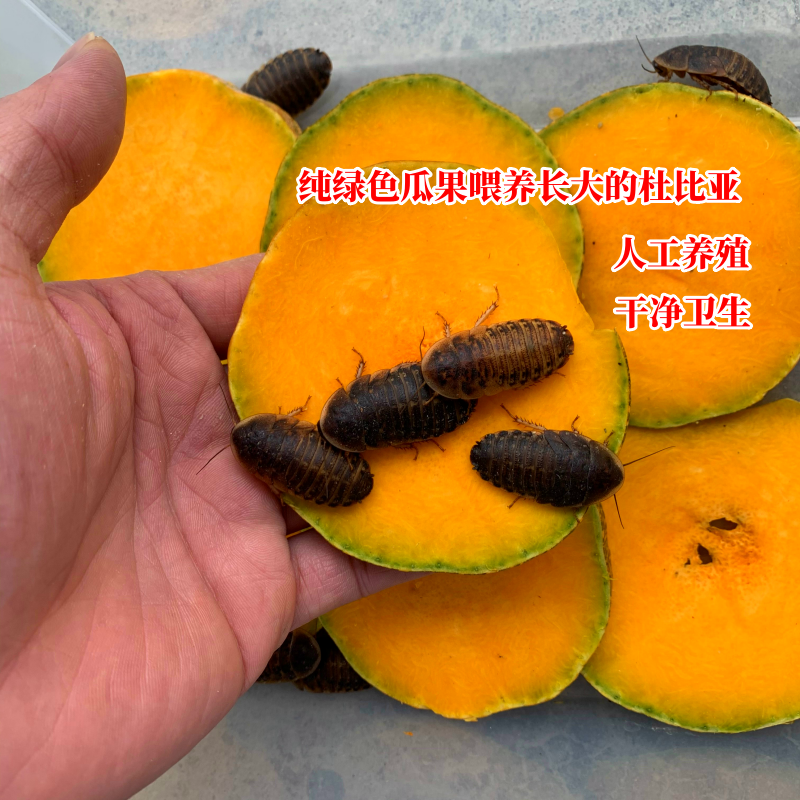 商品详情图片