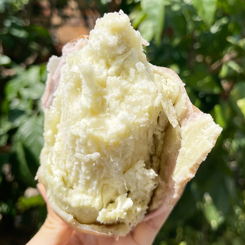 网红冰淇淋爆皮王番薯组合装新鲜 享康食品番薯