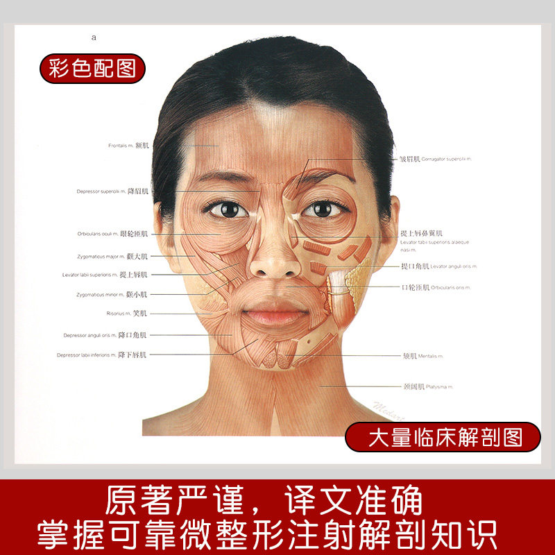 微整形注射解剖学注射技术美容书籍 正版承诺贴心售后加购收藏优先发货 宁海图书专营店 淘优券