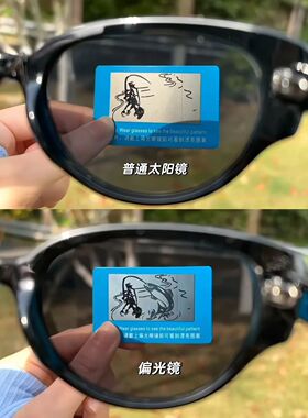 墨镜时尚风渐进浅色洋气太阳镜