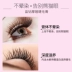 Qiao Di Shang Hui mascara chính hãng không thấm nước xoăn dài khối lượng dày không nở tự nhiên trang điểm lâu dài - Kem Mascara / Revitalash