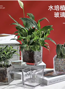 简约透明玻璃方缸水培花瓶