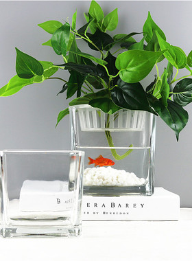 水培客厅玻璃花瓶摆件