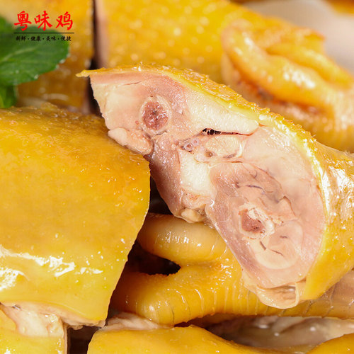 【顺丰冷运】广东粤味盐焗鸡850g整只盐局鸡烧鸡真空特产年货美食 - 图1