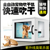 hoopet pet drying box kittens blown wool closed dryer kitty fully automatic pet blowing machine