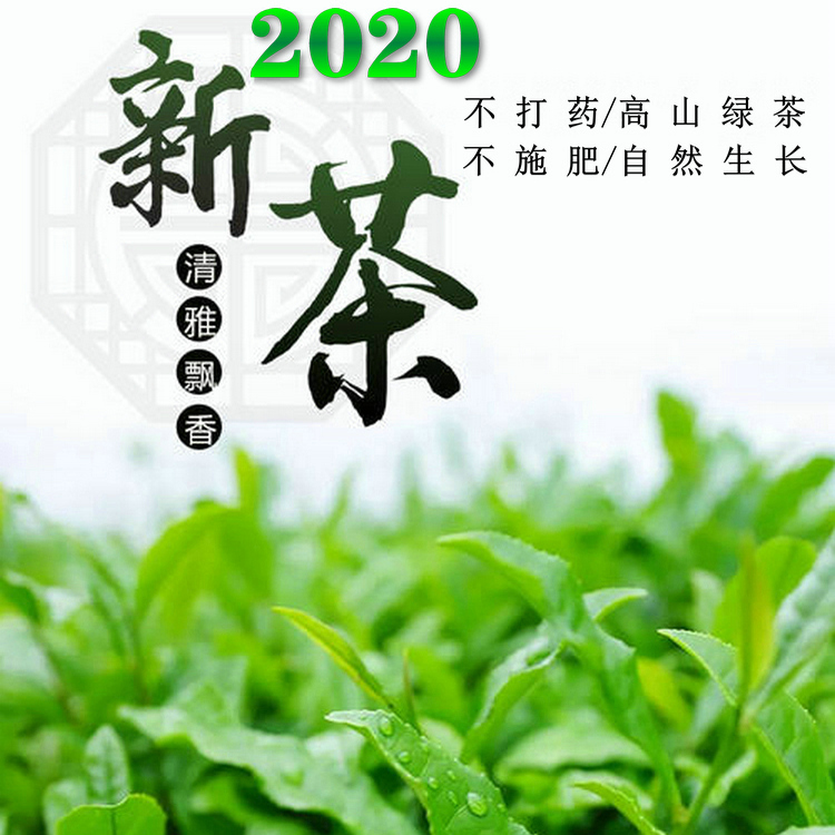 婺源高山绿茶2021新茶明前香茶浓香耐泡云雾茶日照充足拍二发三