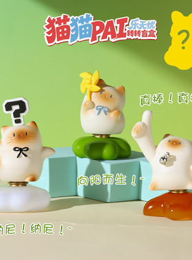 猫咪套装PAI转转盲盒礼盒