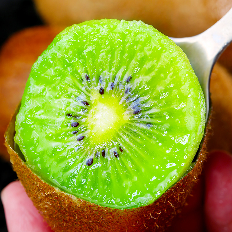  小城外奇异果/猕猴桃