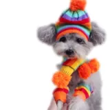 Шарф, шапка, гетры, комплект