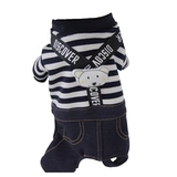 ПЭТ Баррин Сельдерей Снежный маленький Инуярд Собака для собак Осени и зимняя весна четыре команды продвинулись в серых