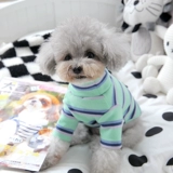 Pet Biebeli Bel Mei xuenari маленький собачий щенк