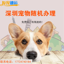 Shenzhen To National Pet Consigned for Consignment Air Transport Train Door-to-door