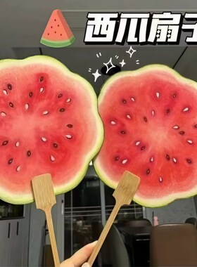 创意手绘风水果团扇女夏日随身便携清凉扇子礼物手持圆扇拍照道具