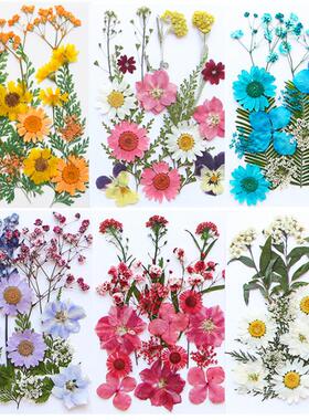 干花diy材料包永生压片押花