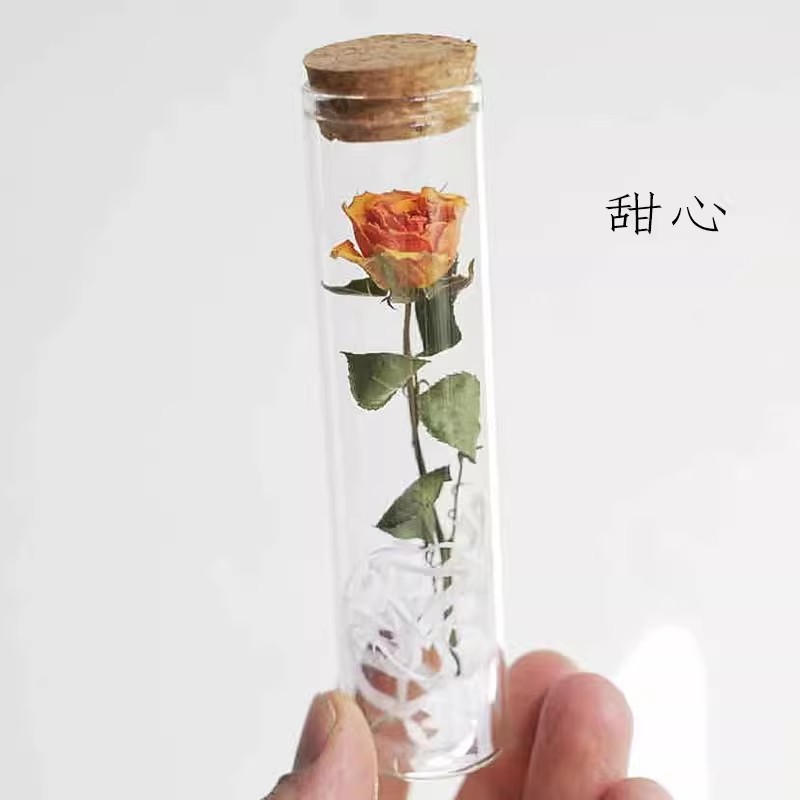 玻璃瓶许愿干花一朵小王子的玫瑰花一支永生花试管摆件送女生礼物 - 图0