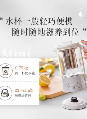 办公室多功能烧水一人小熊养生壶