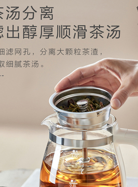 小熊煮茶器家用办公室煮茶壶