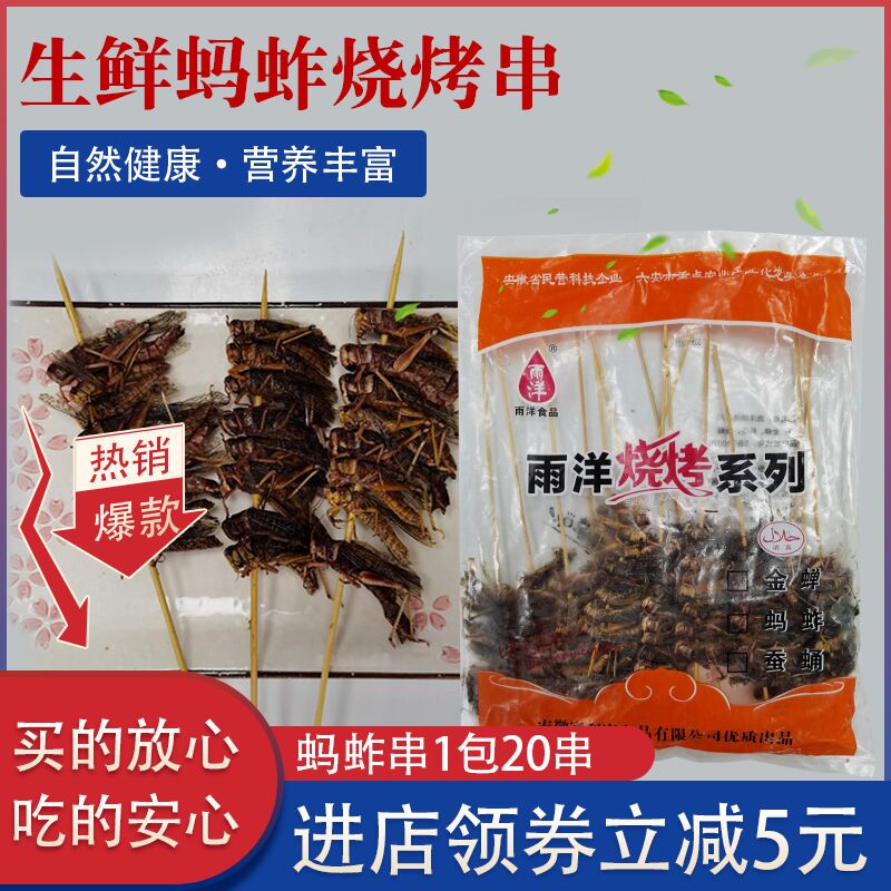 大蚂蚱串 蝗虫串 冷冻蚱蜢串烧烤油炸食材 200串每箱苏浙沪皖包邮 - 图0