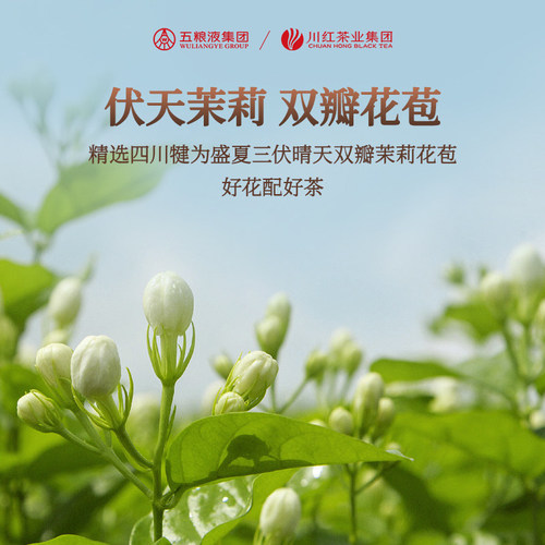 川红官方特级林湖飘雪银针茉莉花茶浓香型新茶叶罐装80g*2罐 - 图1