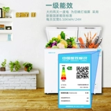 Дубы 196L холодный шкаф с большой мощностью коммерческий морозильник с двойной температурой.