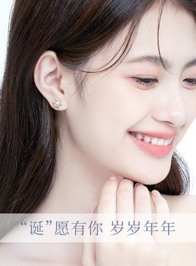 雪花纯银耳钉女生款2026新款轻奢高级感精致耳饰生日礼物送女友