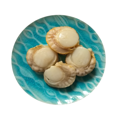 新货大连特产海鲜冷冻煮虾夷扇贝肉1斤可即食熟帆立贝夏威夷贝 - 图3