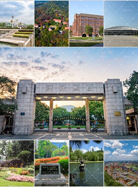 浙江大学贴画自带背胶