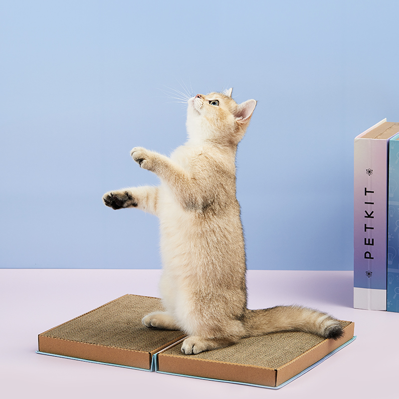 小佩猫基百科猫抓板窝磨爪器瓦楞纸猫窝垫猫爪板猫玩具猫咪用品 - 图1