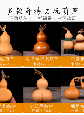 草里金包浆带龙头美国紫皮小葫芦