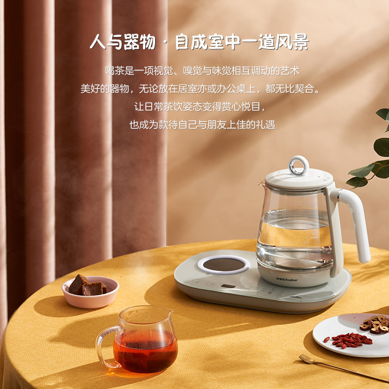 荣事达办公室小型家用煮茶器养生壶 荣事达森岳养生壶/煎药壶