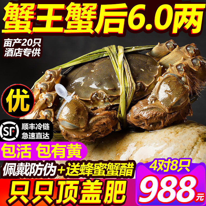活蟹6.0大闸蟹鲜活阳澄蟹礼现货10只蟹王特大公全母螃蟹官方旗舰,淘宝优惠券,粉丝福利购,淘宝优惠卷
