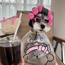 Pets Changing Hats Small Dogs Teddy Bib Bears puppets British short kittens Costume Headgear Small Dogs Headwear Ornaments