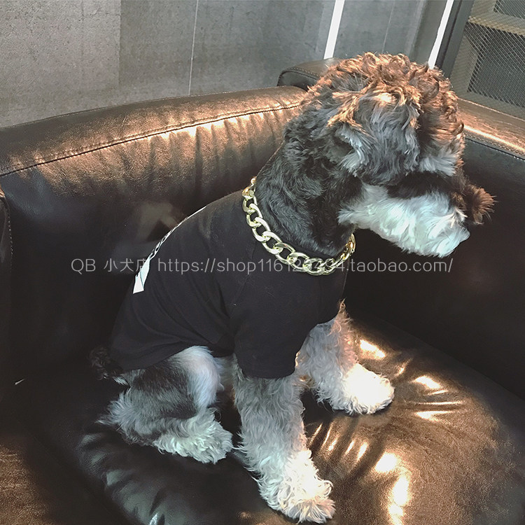 gold chain collar for small dog