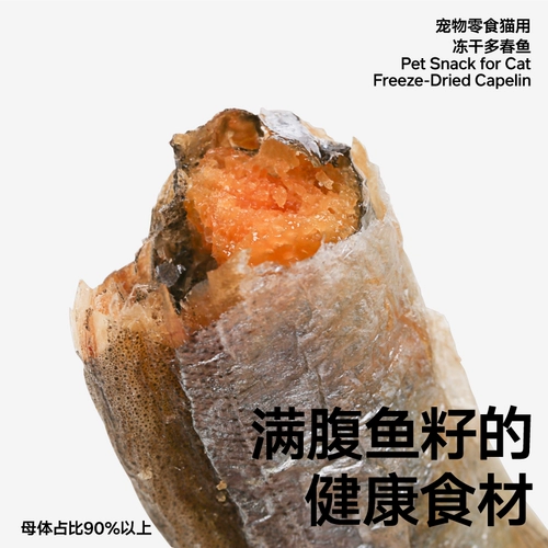 Пидан маленькая рыба сушеная пружинная рыба замороженная сушена