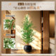 Simulated green plants, light luxury, high-end olive trees, fake tree potted plants