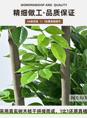 仿真绿植幸福树发财树