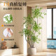 Simulated nandina bamboo indoor potted plants, fake green plants for decoration, large floor-standing ornaments, light luxury, anti-real green plants for living room