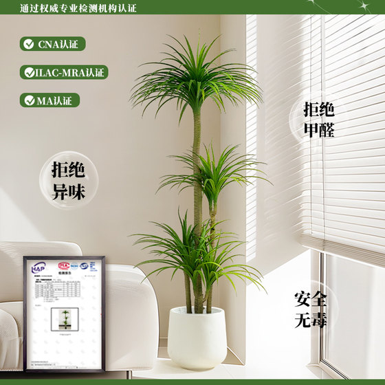 Simulated green plant Dracaena high-end light luxury indoor living room large floor-standing decoration ornaments bionic plant fake tree