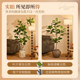 Simulated green plant Banyan Bengal with antique style and high-end feel