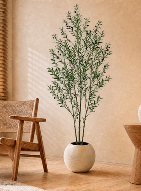 仿真绿植橄榄树高端轻奢仿生植物