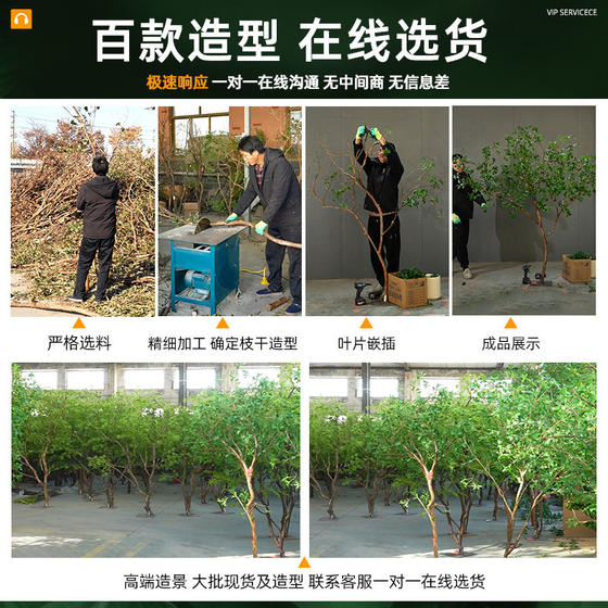 Simulated green plants, Mazui wood landscaping combination decoration