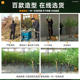 Simulated green plants, Mazui wood landscaping combination decoration